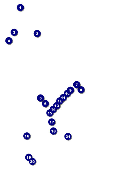 All Purpose Angle Club Flyer Front Field Markers