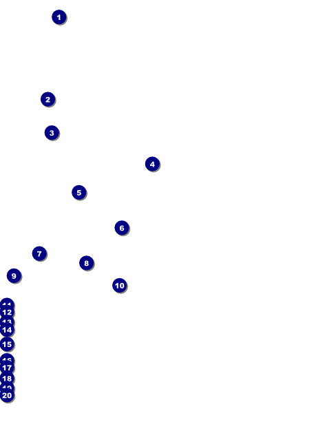 Lymphoma Flyer Front Field Markers