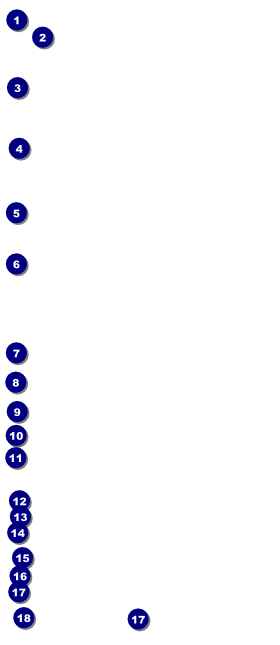 Headdress VIP Pass Front Field Markers