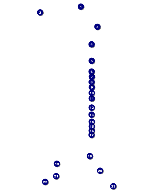 Wizard of Oz Flyer Front Field Markers