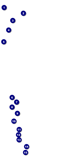 Craft VIP Pass Front Field Markers