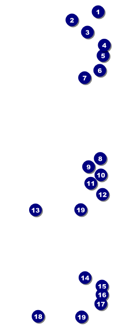 Diabetes Event Ticket Front Field Markers