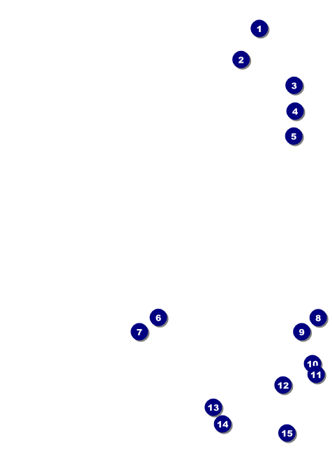 Diabetes Invitation Front Field Markers