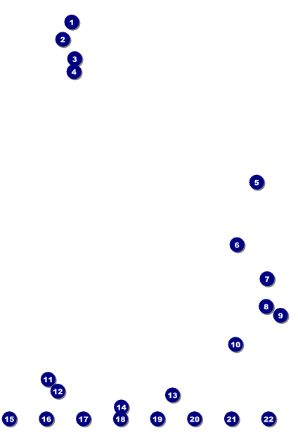 Mexican Flag Logo Poster Front Field Markers