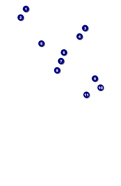 Houston Drink Ticket (Black and white) Front Field Markers