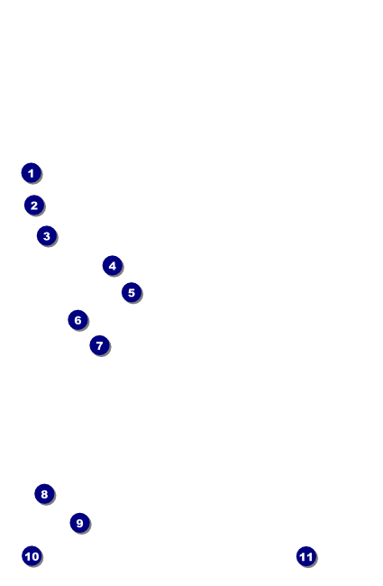 Sydney Drink Ticket (Orange) Front Field Markers