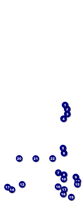 Lotus Flower Table Tent Front Field Markers