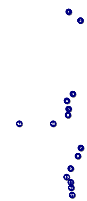 Curling VIP Event Badge Large Front Field Markers