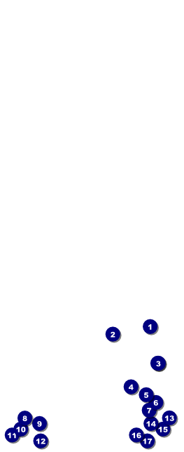 Golden Ornament Table Tent Front Field Markers