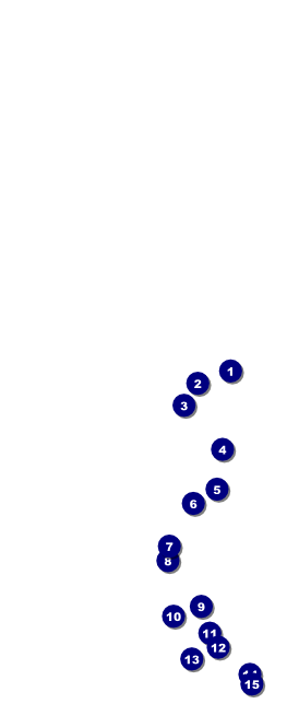 Hollywood Skyline Table Tent Front Field Markers