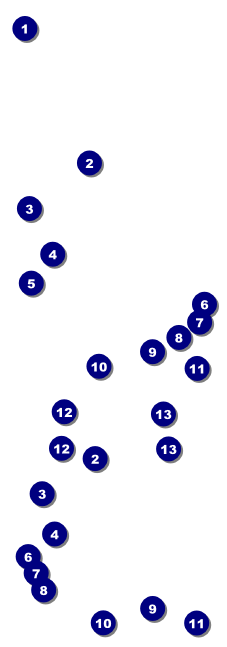 Royal Reserved Event Ticket Front Field Markers