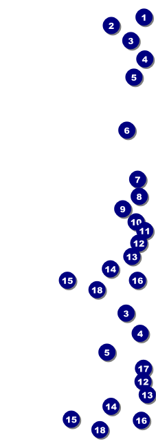 St. Patrick's Day Party Reserved Event Ticket Front Field Markers