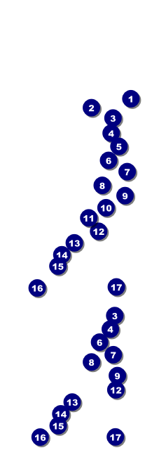 Casino Night Reserved Event Ticket Front Field Markers