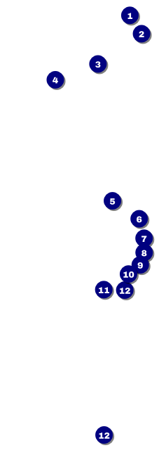 Reggae Lion Raffle Ticket Front Field Markers