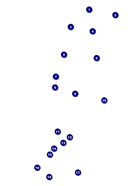 All Purpose Circles Black and White Flyer Front Field Markers