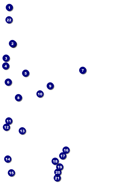 Roller Derby Passing Star VIP Event Badge Medium Front Field Markers