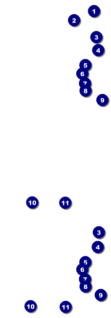 Curling Tournament Event Ticket Front Field Markers