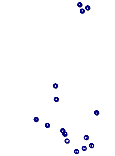 Chinese New Year Dog Flyer Front Field Markers