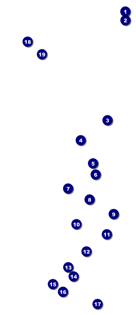 Chinese New Year Rabbit VIP Pass Front Field Markers