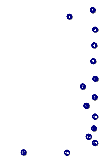 Dart Tournament Drink Ticket Front Field Markers