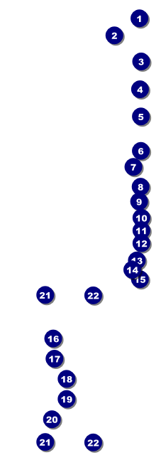 Dart Tournament Raffle Ticket Front Field Markers