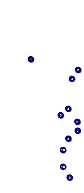 Masquerade Ball Hang Tag Front Field Markers