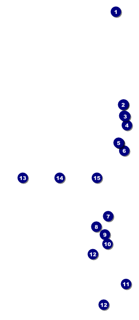 Lotus Flower Hang Tag Front Field Markers