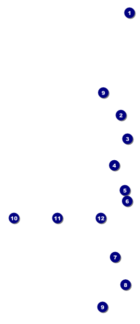 Star Theme Hang Tag Front Field Markers