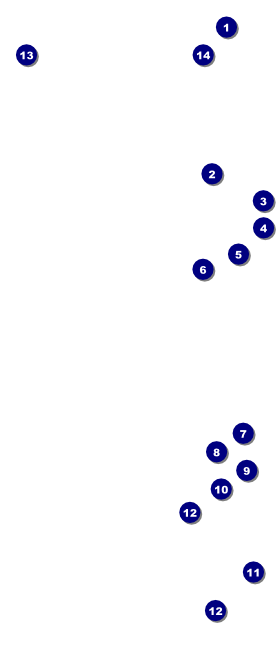 Diabetes Hang Tag Front Field Markers