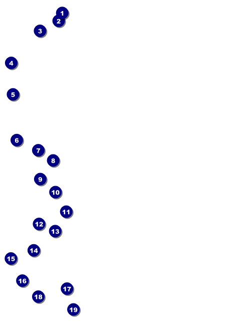 Bucking Bronco Rodeo Postcard Mailer Front Field Markers