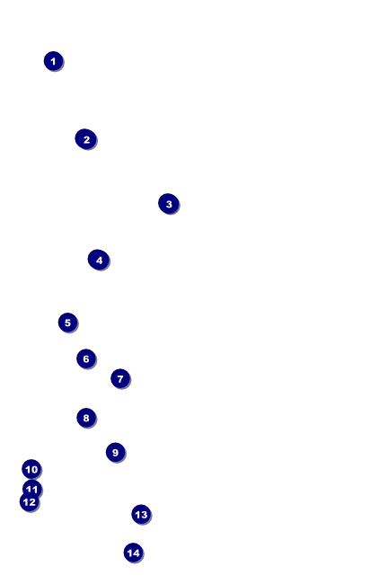 Stag and Doe Pattern Poster Front Field Markers