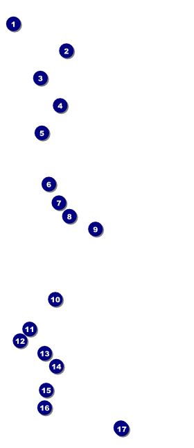 Baseball VIP Pass Front Field Markers