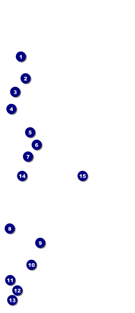 Spider Web VIP Event Badge Large Front Field Markers