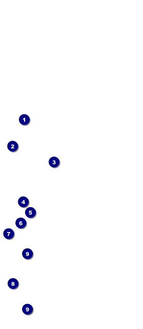 Christmas Bells Hang Tag Front Field Markers