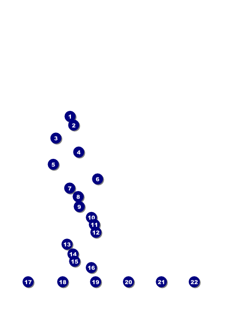 St. Patrick's Day Flyer Front Field Markers