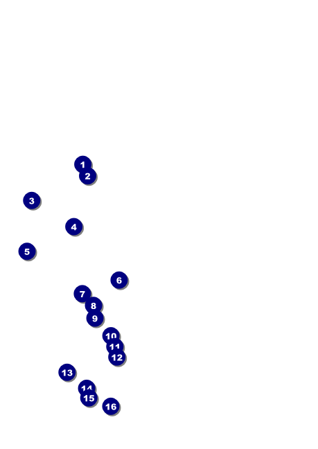 St. Patrick's Day Postcard Front Field Markers