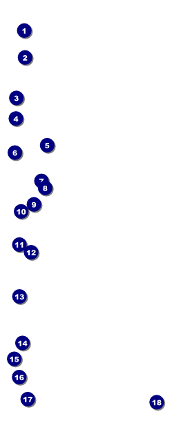 Softball Brown VIP Pass Front Field Markers