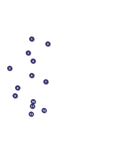 Hip Hop Green Flyer Front Field Markers