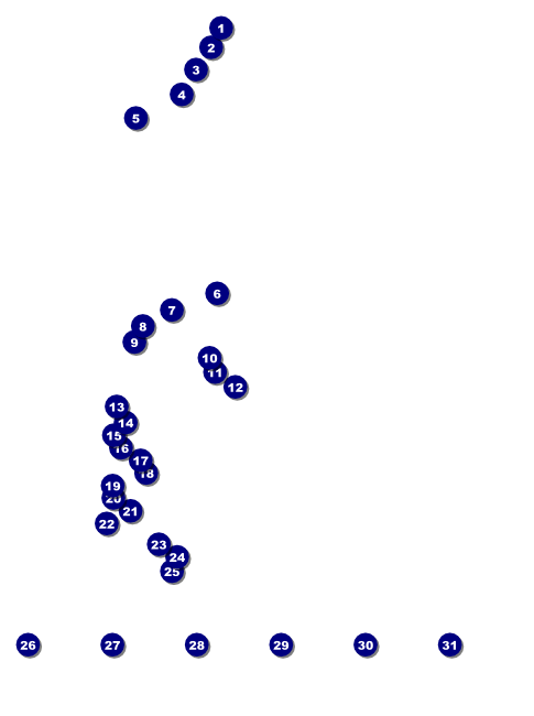 Seattle Flyer (black and white) Front Field Markers