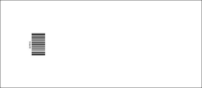 Christmas Decoration VIP Pass Product Back