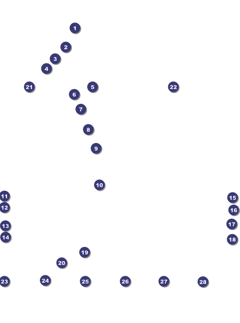 Versus Black Logo Flyer  Front Field Markers