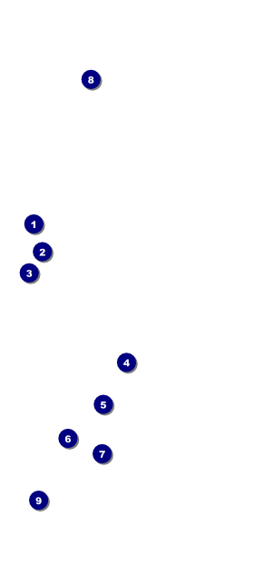 All Purpose Colorful Circles VIP Event Badge Large Front Field Markers