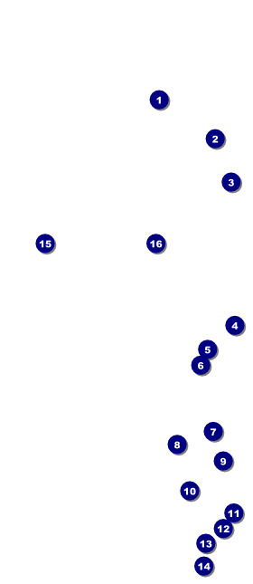 All Purpose Lights VIP Event Badge Large Front Field Markers