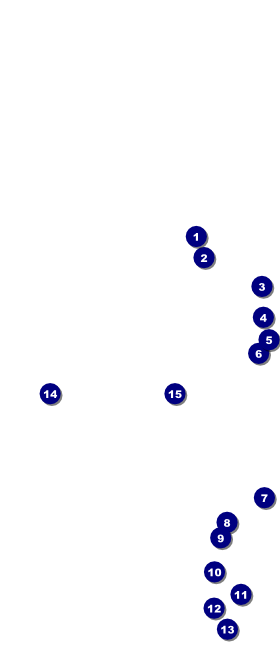 Black Tie VIP Event Badge Large Front Field Markers