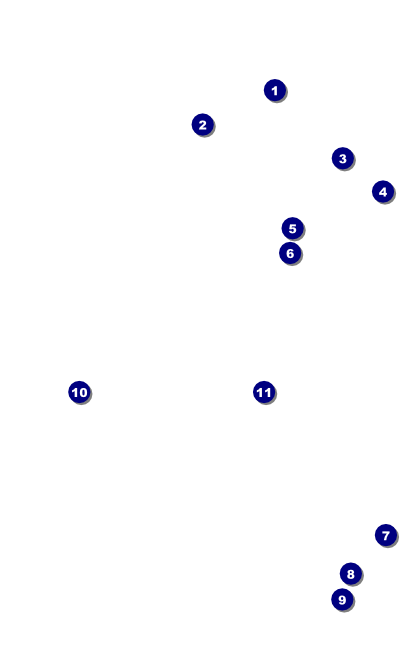 Champagne Bistro VIP Event Badge Medium Front Field Markers