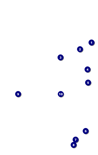 Dance Recital VIP Event Badge Medium Front Field Markers