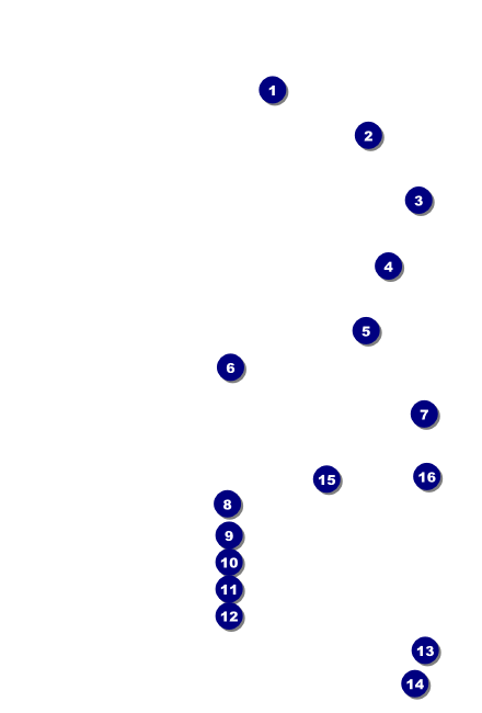 Holiday Lights VIP Event Badge Small VIP Event Badge Small Front Field Markers