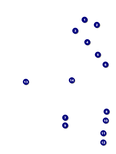 MMA Main Event Economy Event Badge Economy Event Badge Front Field Markers