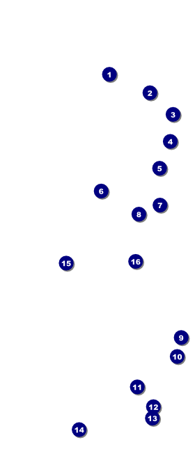 Holiday Snowflake VIP Event Badge Large Front Field Markers