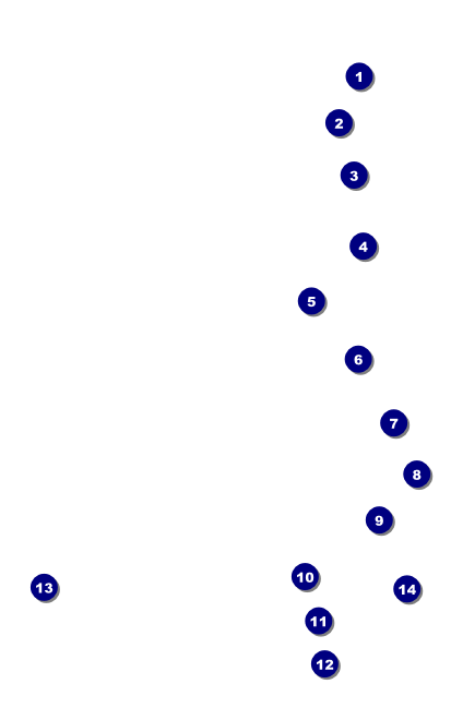 Modern Rodeo VIP Event Badge Medium Front Field Markers